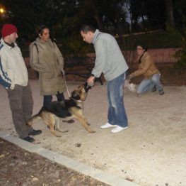 Curso adiestramiento canino CÃ³rdoba