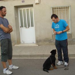 Adiestramiento canino en Argamasilla de Alba