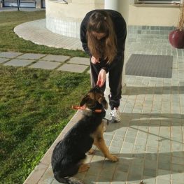 Adiestrador canino en Alcobendas