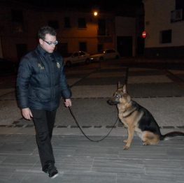 Adiestramiento canino en Manzanares