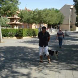 Adiestramiento canino Albacete